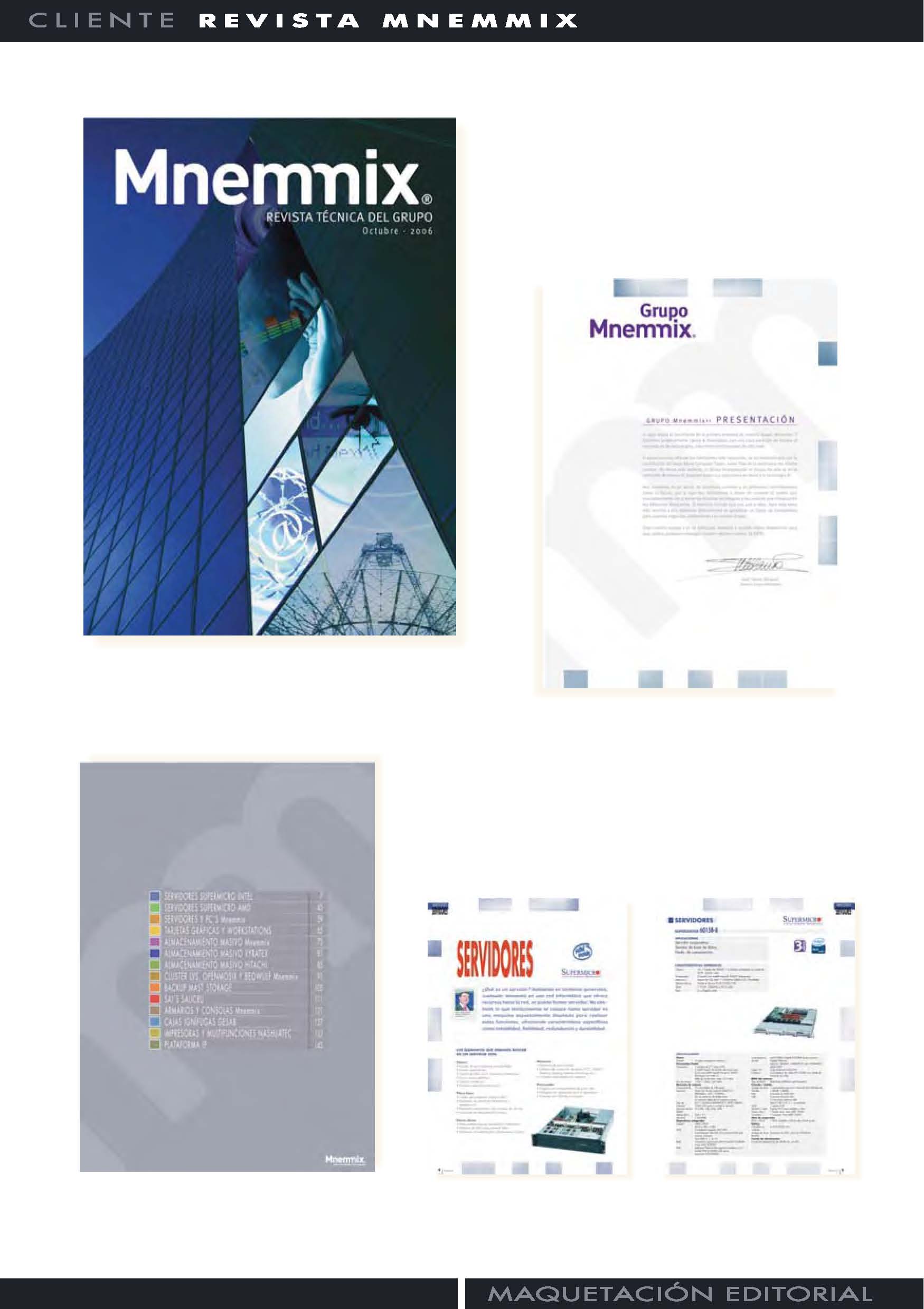 Grupo Mnemmix, Informática